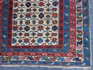 Caucasian Siechour Kuba, Late 19rh century, 3-7 x 5-4 (1.09 x 1.62), very good condition, blacks oxidized, good pile, original ends, original edges, tight weave, good colors, no repairs, rug was washed,  ...