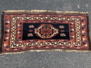 Persian Veramin Torba,  late 19th century,  1-7 x 3-7 (48 x 109),  good pile,  rug was hand washed,  one hole,  2 - six inch creases that  ...