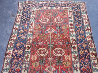 North West Persian, Kurdish, late 19th century, 4-8 x 9-9 (1.42 x 2.97), good condition, good pile, one end complete with parts of original selvage, other end missing two lines and overcast,  ...