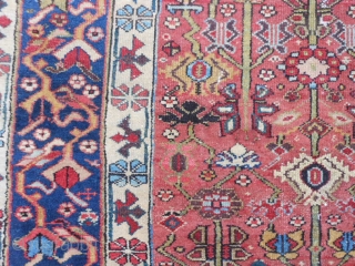 North West Persian, Kurdish, late 19th century, 4-8 x 9-9 (1.42 x 2.97), good condition, good pile, one end complete with parts of original selvage, other end missing two lines and overcast,  ...