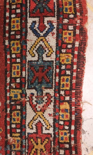 Quchan Kurdish rug, mid-19th century. Possibly earlier.  Generally good condition with a small repair or two.  It has a wild feel.  163 x 362 cm     