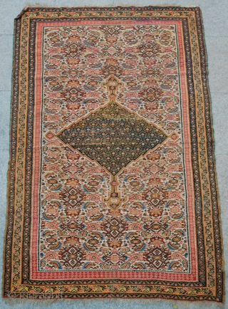 Senneh Kilim.  19th Century.  Wonderful mahi/Herati/fish designs throughout. Some duck head green in the central medallion.  Subtle colors.  Very poised composition.  The top left corner is a  ...