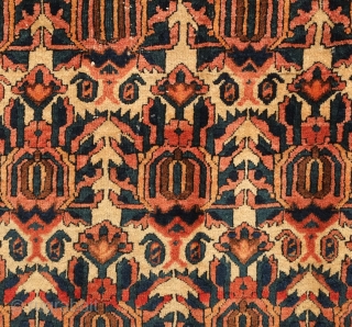 Zili Sultan rug, 19th century. It has all good colors and extraordinarily soft wool. It feels like pashmina to the touch similar to some great Afshar rugs.   142 x 192  ...
