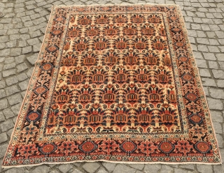 Zili Sultan rug, 19th century. It has all good colors and extraordinarily soft wool. It feels like pashmina to the touch similar to some great Afshar rugs.   142 x 192  ...