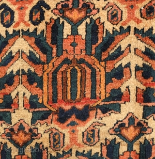 Zili Sultan rug, 19th century. It has all good colors and extraordinarily soft wool. It feels like pashmina to the touch similar to some great Afshar rugs.   142 x 192  ...