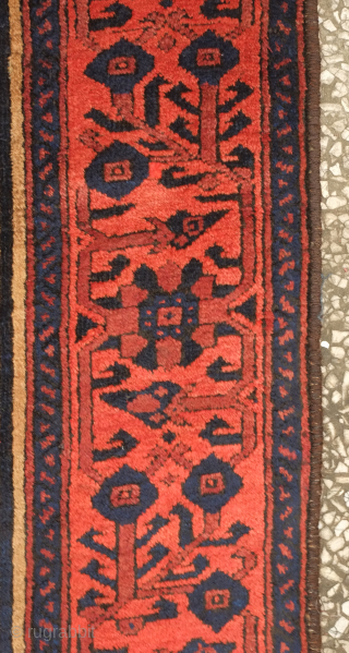 Baluch rug, Khorasan, 19th century. Camel wool ground.  The red is in a deep and rich brick-like hue.  The wool is exquisite and soft.  113 x 185 cm. Contact  ...