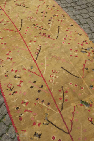 Balkan kilim, possibly Sharkoy, mid to 3rd quarter of the 19th century. Two trees of life in artfully evocative, spindly drawing.  The ground color is a soft green hue and the  ...