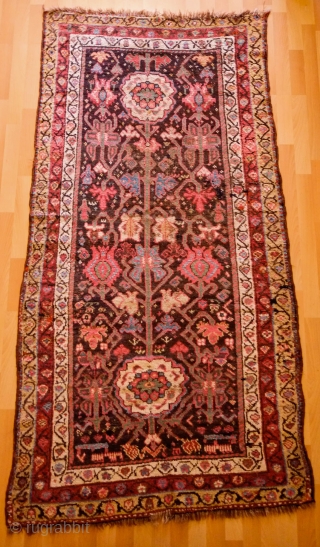 Sauj Bulak Kurdish Rug, Late 19th Century.  All great Sauj natural colors on a rich dark ground.  Safavid derivative floral motifs and Kashmir shawl-like borders.  Lower pile in the  ...