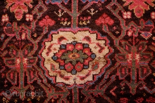 Sauj Bulak Kurdish Rug, Late 19th Century.  All great Sauj natural colors on a rich dark ground.  Safavid derivative floral motifs and Kashmir shawl-like borders.  Lower pile in the  ...