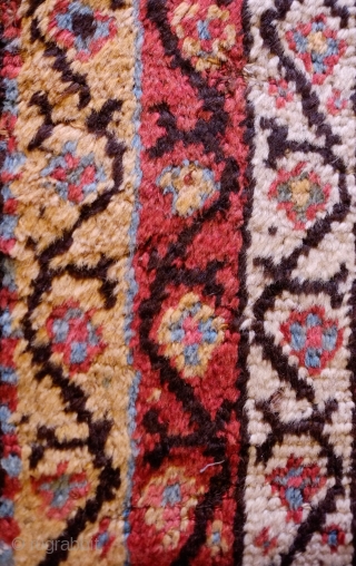 Sauj Bulak Kurdish Rug, Late 19th Century.  All great Sauj natural colors on a rich dark ground.  Safavid derivative floral motifs and Kashmir shawl-like borders.  Lower pile in the  ...