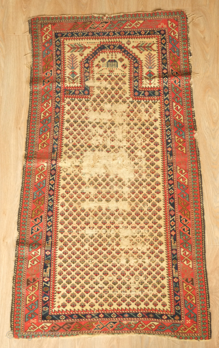 Shirvan prayer rug, mid-19th century or so.  Note the small animal figures in the inner border.  Wear in the field. 77 x 143 cm.  Contact danauger@tribalgardenrugs.com    