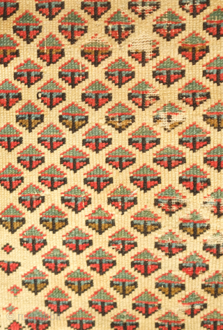 Shirvan prayer rug, mid-19th century or so.  Note the small animal figures in the inner border.  Wear in the field. 77 x 143 cm.  Contact danauger@tribalgardenrugs.com    