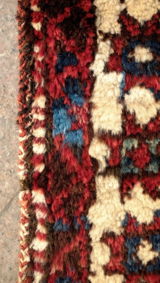 Shavak Kurdish Rug, 4th Quarter of 19th Century. All good natural dyes.  A real tribal rug in beautiful soft wool with good pile.  Uniform weave characteristic of Shavak weaving.   ...