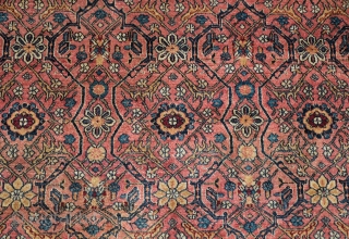 Agra Carpet, 3rd Quarter of the 19th Century. Extremely fine, soft wool and fine knotting.  Soft wonderful natural colors.  Good pile. The wool is pashmina as in the tradition of  ...