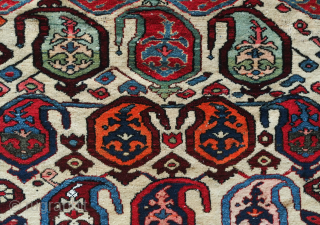 Bakhtyari rug.  White field and wonderful sense of movement.  It has a vivid color scheme. The crab border nicely frames the field. 127 x 200 cm     