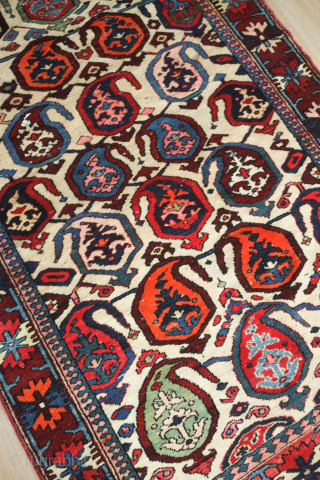 Bakhtyari rug.  White field and wonderful sense of movement.  It has a vivid color scheme. The crab border nicely frames the field. 127 x 200 cm     