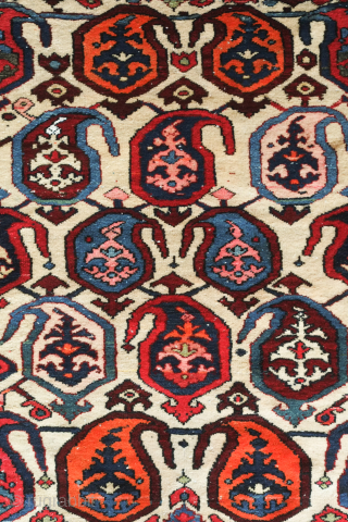 Bakhtyari rug.  White field and wonderful sense of movement.  It has a vivid color scheme. The crab border nicely frames the field. 127 x 200 cm     