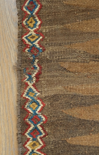 Kordi Runner Kilim, 1900 or so.  Finger-like serrations along the inner field with a stiking extra-weft pendant in the center in natural dyes.  The border is also in extra-weft wrapping  ...