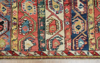 Genje Shawl Design Rug, 4th quarter of the 19th century.  Wonderful array of colors, counting around seven.  The Kashmir boteh shawl design is elegantly articulated in wider stripes than usual.  ...