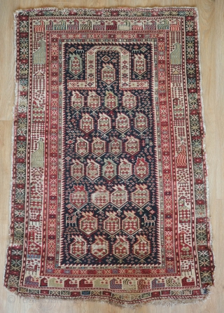 Marasali-Shirvan Prayer rug, 1880s or so.  Birds in the borders.  Overall boteh motifs with animals in a few locations.  Beautiful color combination mostly if not all natrual dyes.   ...