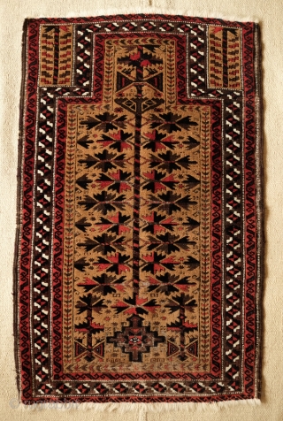 Baluch Prayer Rug, Khorasan, Late 19th century.  The wool is of very fine quality in a very fine weave.  The white around the prayer niche beautifully frames the rug.   ...