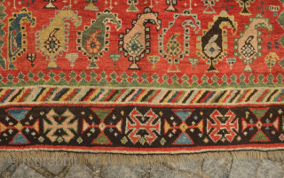 Genje or other Caucasus region rug, late 19th century.  The boteh are in juxtaposing directions in alternating rows.  The colors are beautiful green, pink and indigo.  Note the crosses  ...