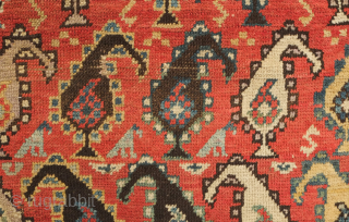 Genje or other Caucasus region rug, late 19th century.  The boteh are in juxtaposing directions in alternating rows.  The colors are beautiful green, pink and indigo.  Note the crosses  ...