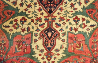 Malayer rug, 19th century.  Extraordinary colors and cental medallion.  Blue cotton wefts.  The selvedges are worn and there is a small area of wear in the central medallion.   ...