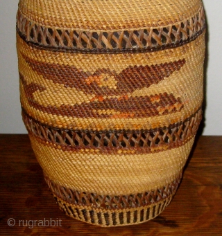 Antique Native American Northwest Coast Nootka-Makah polychrome twined bottle basket, consisting of a bottle covered with fine weave of cedar bark and bear grass.  Solid bands alternating with open lattice work.  ...