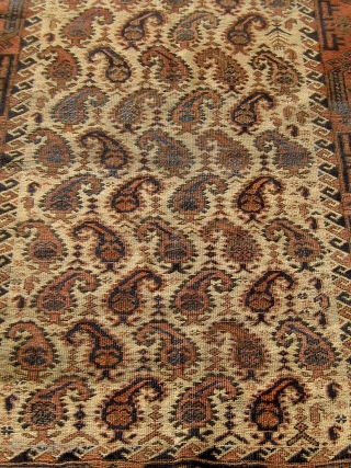 Rare antique Baluch runner with beautifully drawn botehs on a pale camel field.  Lovely shades of pale, medium, and dark blue.  Original flat woven ends and sides.  All colors  ...