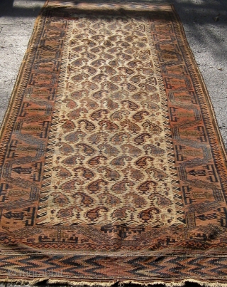 Rare antique Baluch runner with beautifully drawn botehs on a pale camel field.  Lovely shades of pale, medium, and dark blue.  Original flat woven ends and sides.  All colors  ...