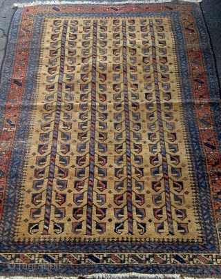 Small antique Baluch camel ground rug with a tree of life variant design, last quarter of the nineteenth century, some wear mainly around the perimeter, edges redone, flat weave ends missing.   ...