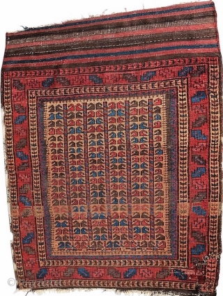 Interesting antique Baluch carpet, last quarter of the 19th century.  All dyes appear natural.  Floppy handle, fine weave.             