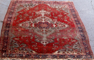 Antique Persian rug from the Bidjar area, wool on cotton, circa 1900-1910, with the most unusual apple-green used in the spandrels and the medallion.  Characteristically Bidjar in feel and weave, as  ...