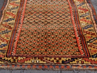 Antique Persian Kurdish rug (Western mountains), first quarter of the twentieth century, all natural dyes, roughly 4' by 7'.  Meaty, beautiful wool, interesting abrash, very tribal feel,  selvedges recast, some  ...