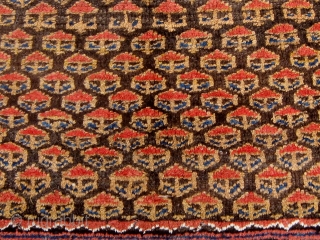 Antique Persian Kurdish rug (Western mountains), first quarter of the twentieth century, all natural dyes, roughly 4' by 7'.  Meaty, beautiful wool, interesting abrash, very tribal feel,  selvedges recast, some  ...