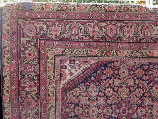 Antique Persian Ferahan carpet, circa 1900, with the legendary apple green borders, with squarish format.   59" by 70".  Condition as shown (end reduction, edges recast, wear in the herati  ...