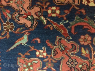 Antique Tafresh Persian rug, circa 1920s.  Beautiful salmon field, and playful birds.  With soft wool, and in lovely condition except for one bite in top right corner.  4'6" by  ...