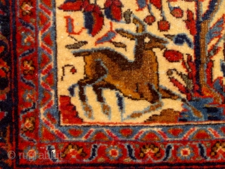 Circa 1910 small Kashan pictorial tree of life carpet or poshti, featuring deer and birds, in overall good condition, beautiful silky wool, and very tight weave.  Over two feet by 4  ...