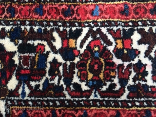 Persian Bakhtiari rug (1940s) from Chahar Mahal region. wool on cotton. nice pile and all good dyes. it measures 6'9" x 5'2"           