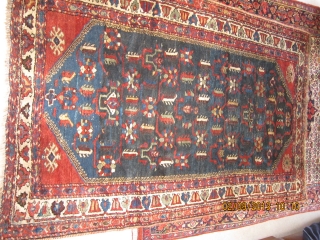 An all wool construction Bakhtiari tribal rug in pristine condition with shinny thick wool, saturated deep colors, including the famous Bakhtiari electric blue, and a earthy warm straw yellow. corrosive brown has  ...