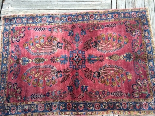 Fine quality antique Sarouk with uniformly thick velvety wool, decorative sparse design, and tight fine weave. Estate find. Needs wash. Size is around 3.4x 4.9 ft.       