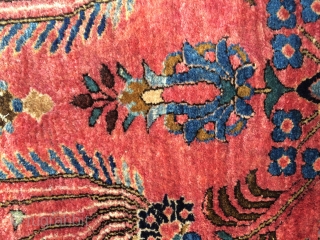 Fine quality antique Sarouk with uniformly thick velvety wool, decorative sparse design, and tight fine weave. Estate find. Needs wash. Size is around 3.4x 4.9 ft.       