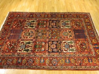 Antique Bakhtiari (Chahar-Mahal) rug 6'10" x 4'8"...fantastic saturated colors including a beautiful yellow and warm chestnut brown. great uniform pile throughout. no repairs. wool oozes out lanolin, and the weave is as  ...