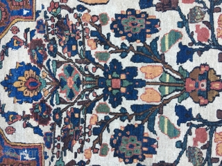 A 19th century fine quality Bakhtiari rug with ancient colors and incredible weave. Wool is what one expects from best Bakhtiari rugs. It has an inscription which reads made by Bakhtiari (عمل  ...