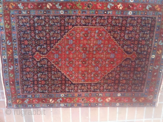 This Antique Bidjar rug might look ordinary with its Herati pattern design and central diamond medallion BUT in flesh it is much nicer than the typical antique Bidjar of its kind. The  ...