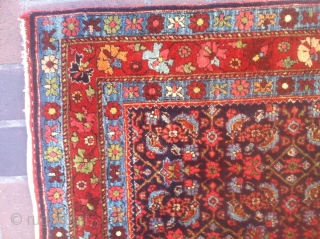 This Antique Bidjar rug might look ordinary with its Herati pattern design and central diamond medallion BUT in flesh it is much nicer than the typical antique Bidjar of its kind. The  ...