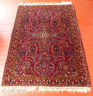 This is an antique Sarouk.
It is all wool with a cotton foundation.
It dates from c.1900-1920.
It is in excellent condition with full pile 
The fringe is not original.
This rug measures 57" X 40".

SOLD 