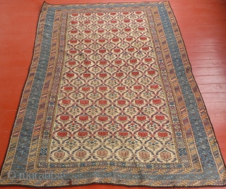 This is a pretty Caucasian Shirvan(?)
It is in excellent condition but some fool has overcast both the ends and edges.
There is also one small reweave.
The pile is fully intact and there are  ...