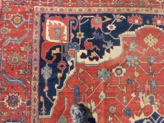 Antique Persian Serapi, c.1880-1900, 9" X 12",
Has a little wear and it has been bound on all 4 sides by machine.
No repairs, holes, tears or odors.
Has been washed.
Shipping is not included in  ...
